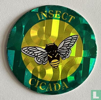 Cicada - Afbeelding 1