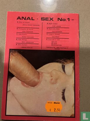 Anal Sex 1 - Image 2