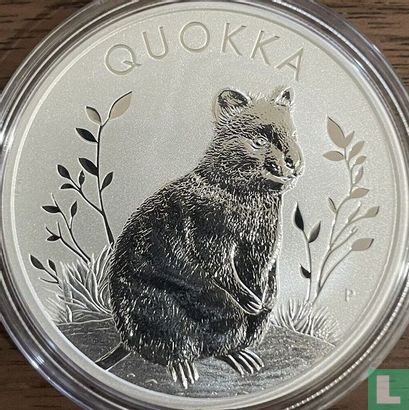 Australia 1 dollar 2023 "Quokka" - Image 2