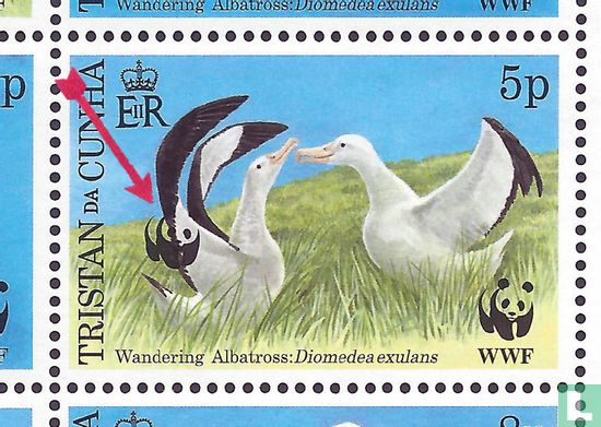 Albatros - Image 2