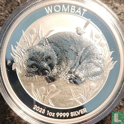 Australië 1 dollar 2023 (kleurloos) "Wombat" - Afbeelding 1