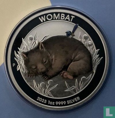 Australien 1 Dollar 2023 (Coincard) "Wombat" - Bild 3