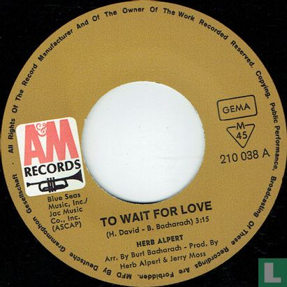To Wait for Love - Image 3
