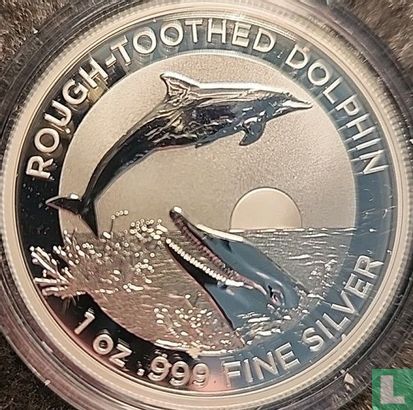 Australie 1 dollar 2023 "Rough-toothed dolphin" - Image 2