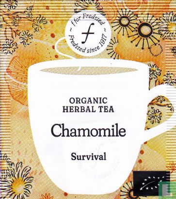 Chamomile - Image 1