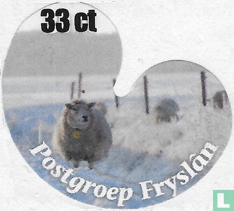 Sheep