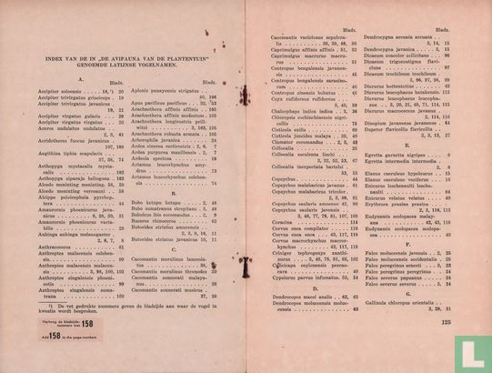 Limosa 1 - 2 - Afbeelding 5