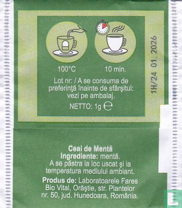 Menta - Bild 2