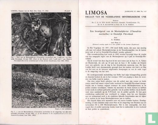Limosa 1 - 2 - Afbeelding 4