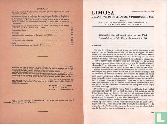 Limosa 3 - 4 - Image 3