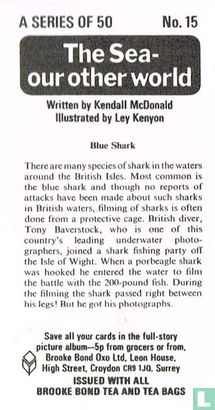 Blue Shark - Image 2