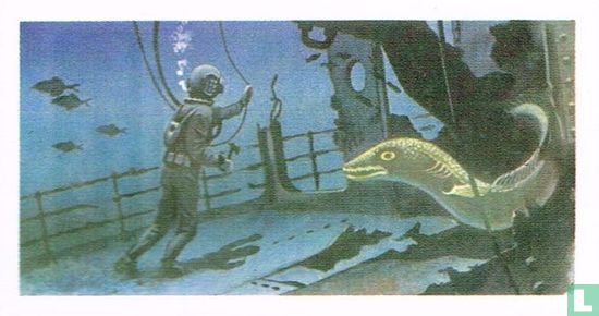 'Hard Hat' Diver - Afbeelding 1