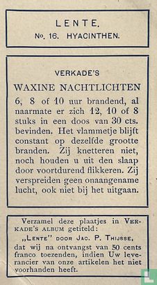 Hyacinthen - Afbeelding 2