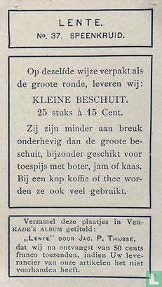 Speenkruid - Image 2