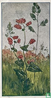 Zuring met Kropaar - Image 1