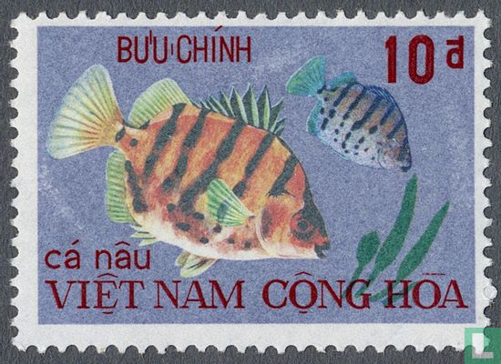 Poisson de mer