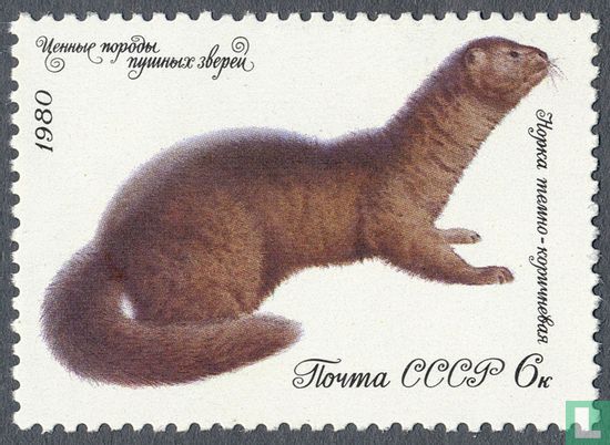 Animaux à fourrure