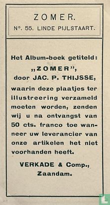 Linde Pijlstaart - Image 2