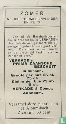 Hermelijnvlinder en Rups - Image 2