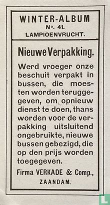 Lampioenvrucht - Bild 2