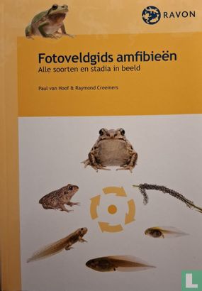 Fotoveldgids amfibieën  - Bild 1