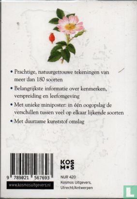 Bloemen - Image 2
