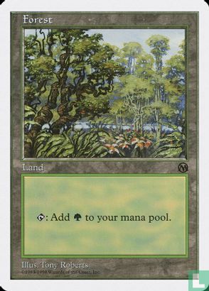 Forest - Image 1