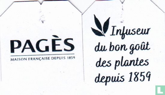Grog - Image 3