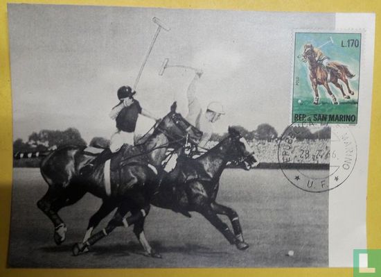 Paardensport