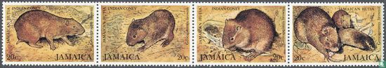 Native animals