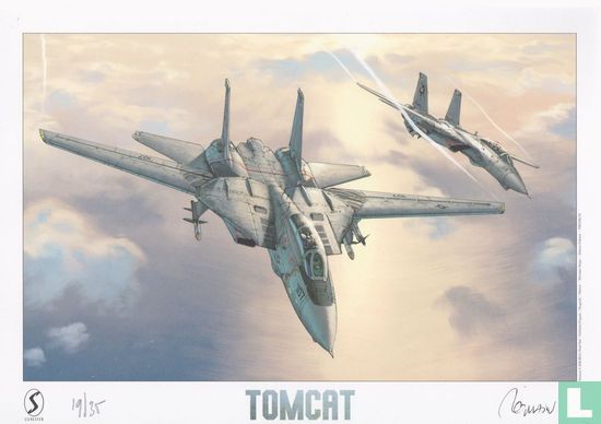 Tomcat