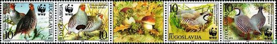 Partridges - Image 2