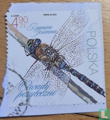 Dragonfly