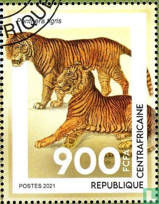 Tigers