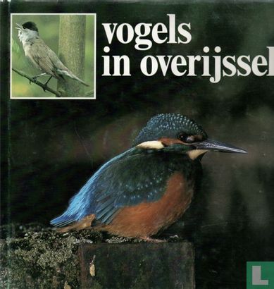 Vogels in Overijssel - Image 1