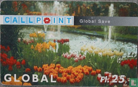 Callpoint Global Save - Afbeelding 1
