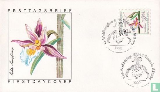 Orchideen - Bild 1