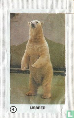 4. IJsbeer - Image 1