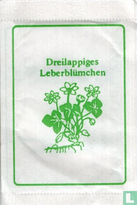 Dreilappiges Leberblumchen - Bild 1