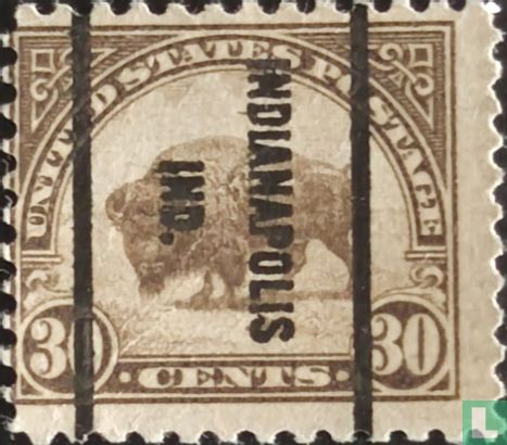 Amerikaanse bizon
