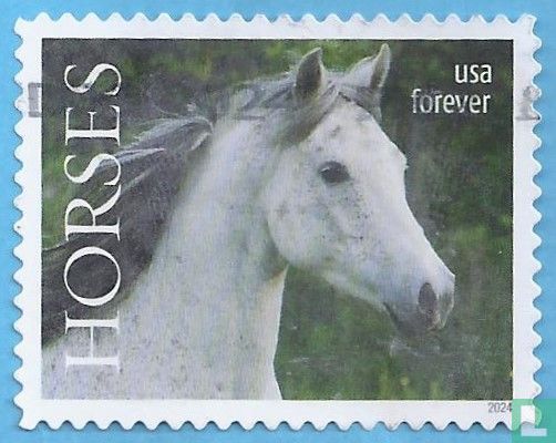 The horse