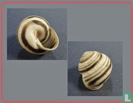 Caucasotachea vindobonensis