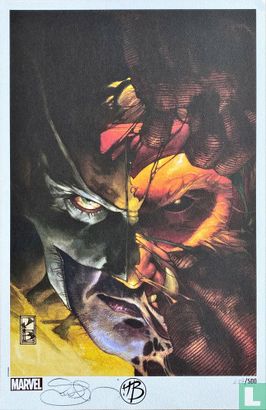 Wolverine / Sabretooth - Bild 1