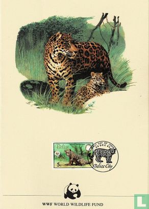  WWF - Jaguar