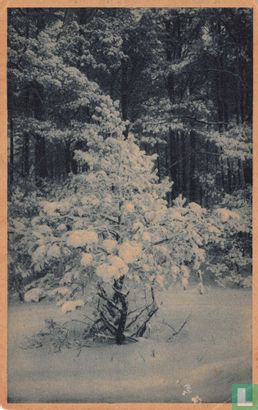 Sneeuwlandschap - Afbeelding 1