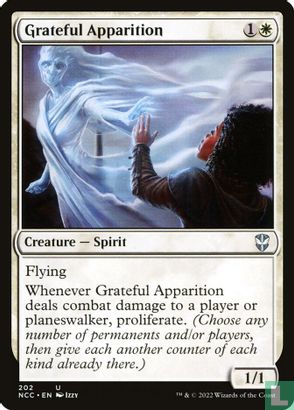 Grateful Apparition - Afbeelding 1