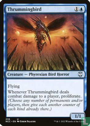 Thrummingbird - Afbeelding 1