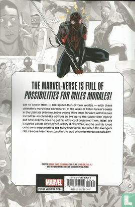 Marvel-Verse: Miles Morales - Bild 2
