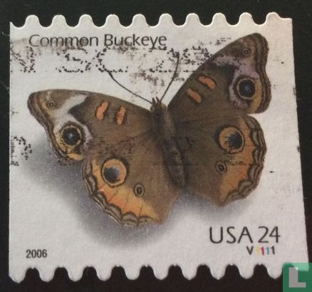 Papillons