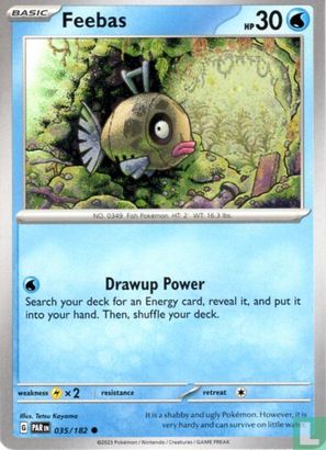 Feebas - Bild 1